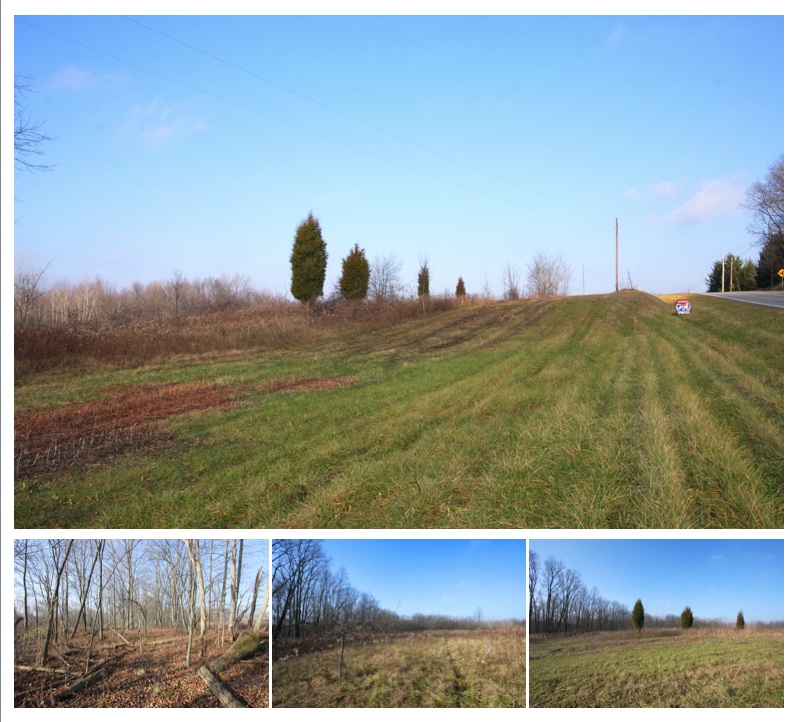 5.509 Acres of Newark Road Land For Sale in Knox County Ohio Mount